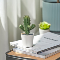 FEJKA Artificial potted plant, in/outdoor Cactus, 6 cm