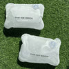 The IceBrick