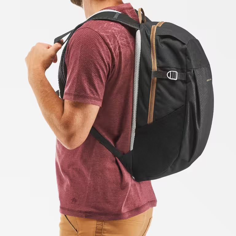 20L Hiking Backpack - Arpenaz NH100 - Black