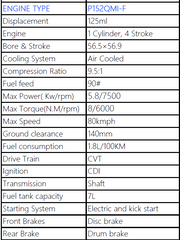 CHAOYUE(125CC) DC-JL125T-8B