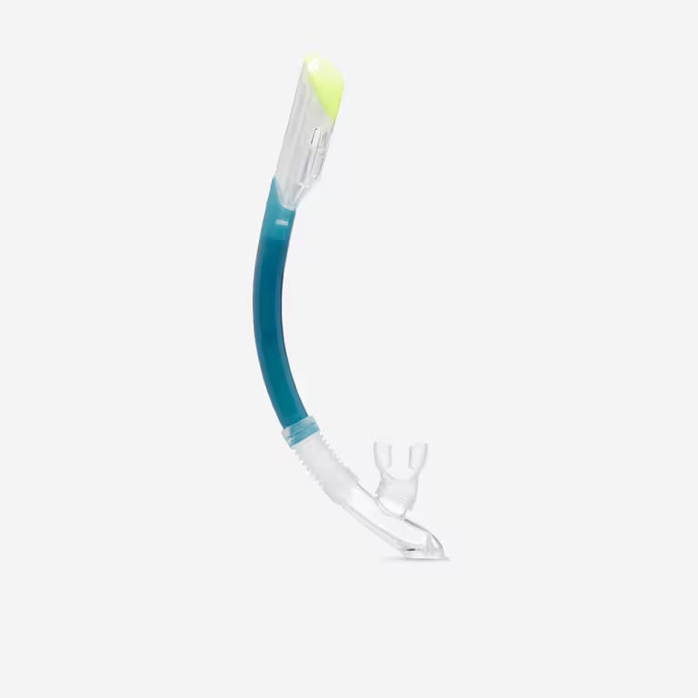 Adult Snorkelling Kit 100 COMFORT Mask and DRYTOP Snorkel Green