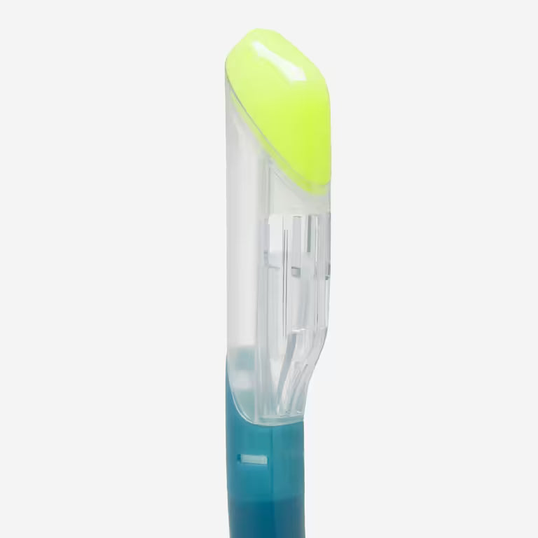 Adult Snorkeling Kit 100 COMFORT Mask and DRYTOP Snorkel Green