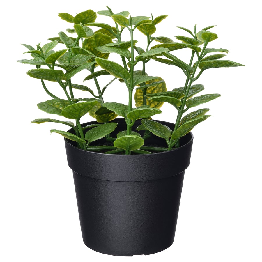 FEJKA Artificial potted plant, in/outdoor Mint, 9 cm