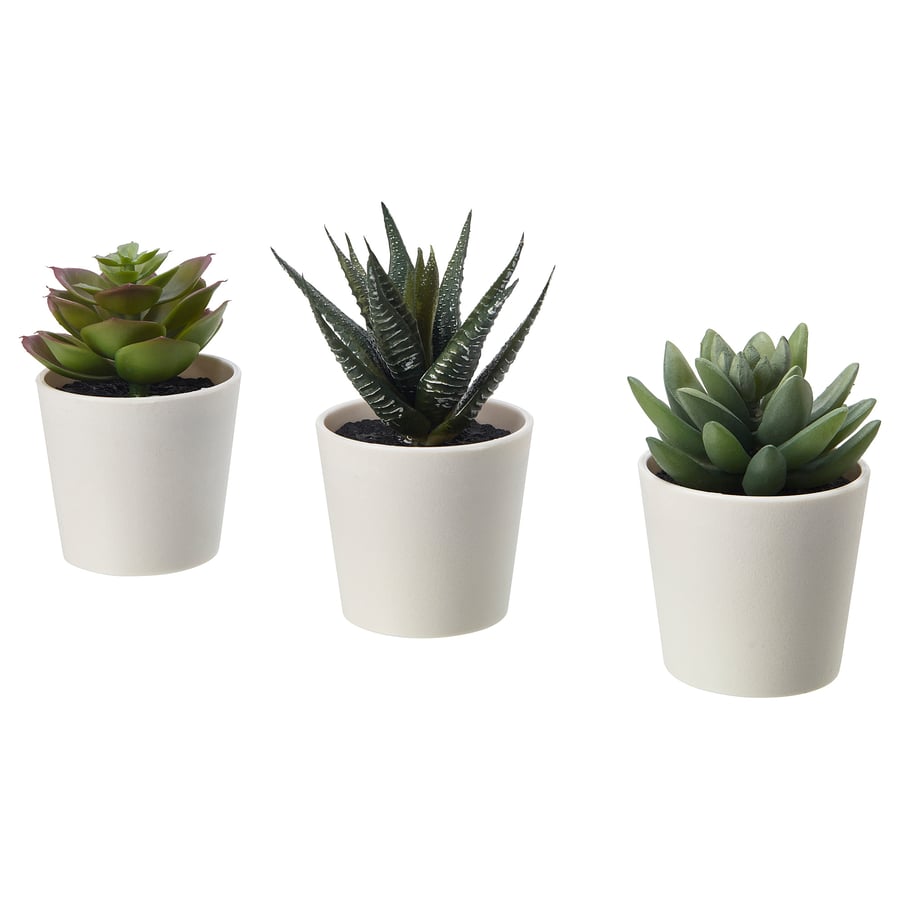 FEJKA Artificial potted plant with pot, in/outdoor Succulent, 6cm (3 pack)