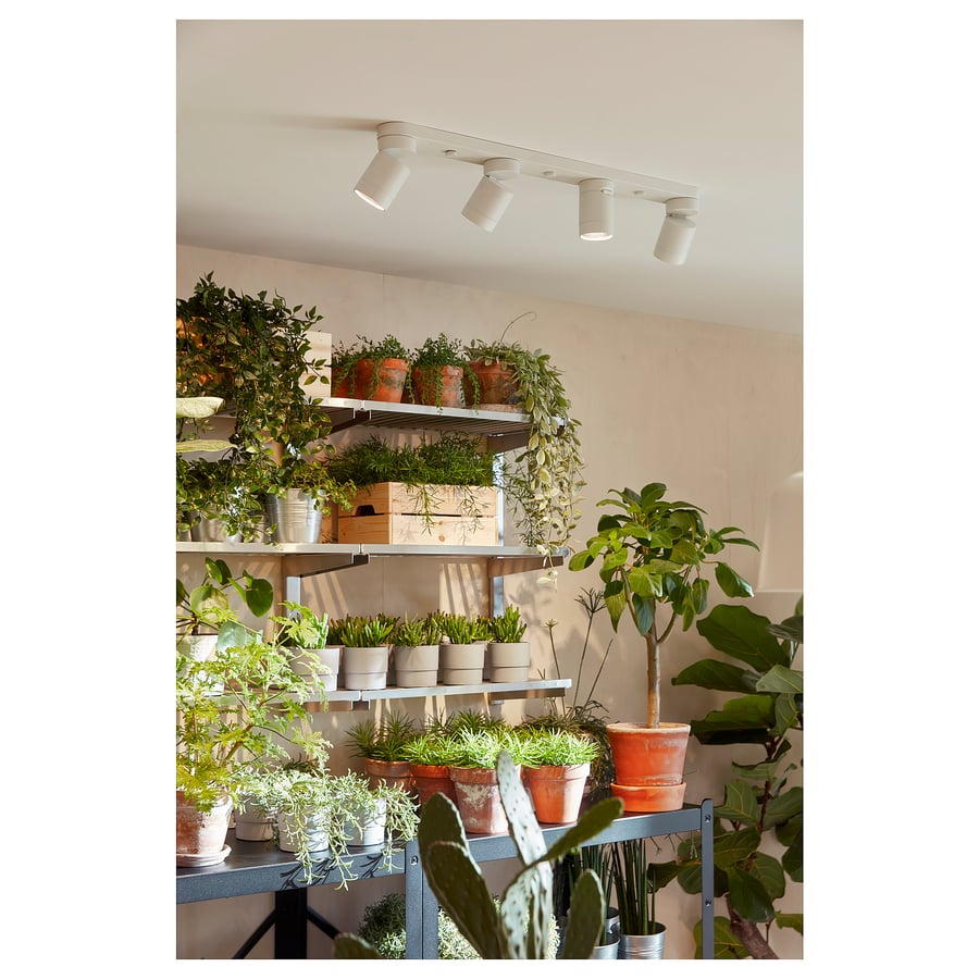 BÄVE LED ceiling track, 3-spots, white