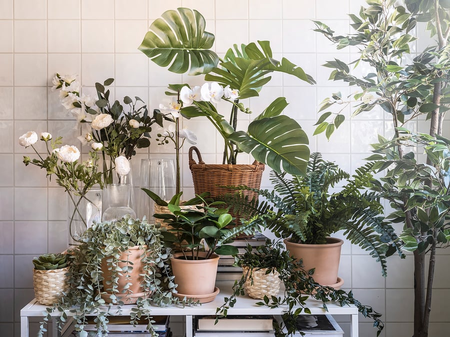 FEJKA Artificial potted plant, in/outdoor hanging/eucalyptus, 9 cm