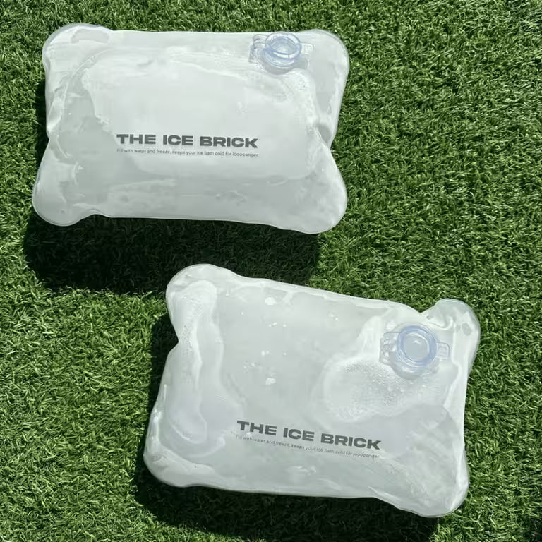 The IceBrick