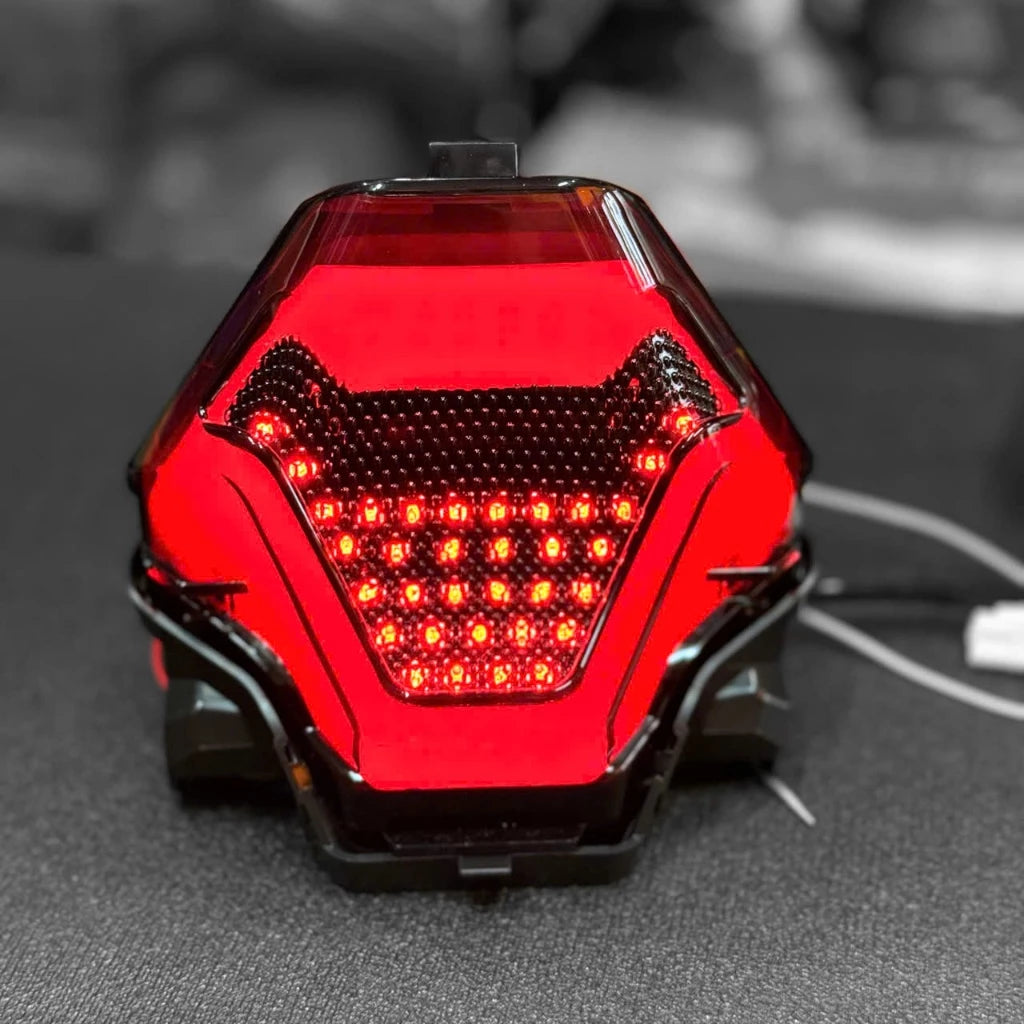 TST Exciter 150 Taillight Audi Effect Changes Color Using app -By Sea Courier Method 🚢📦